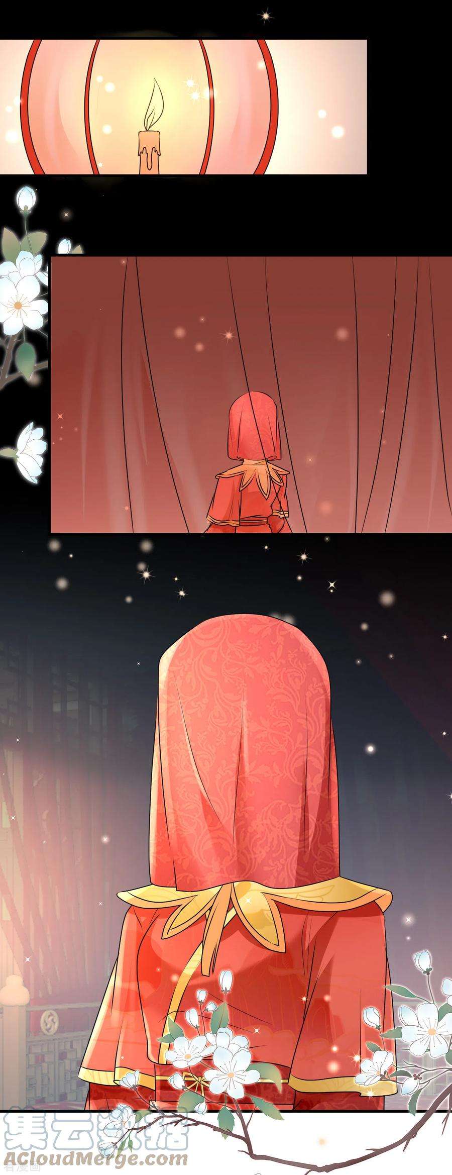 凤归巢：冷王盛宠法医妃101话 新婚之夜