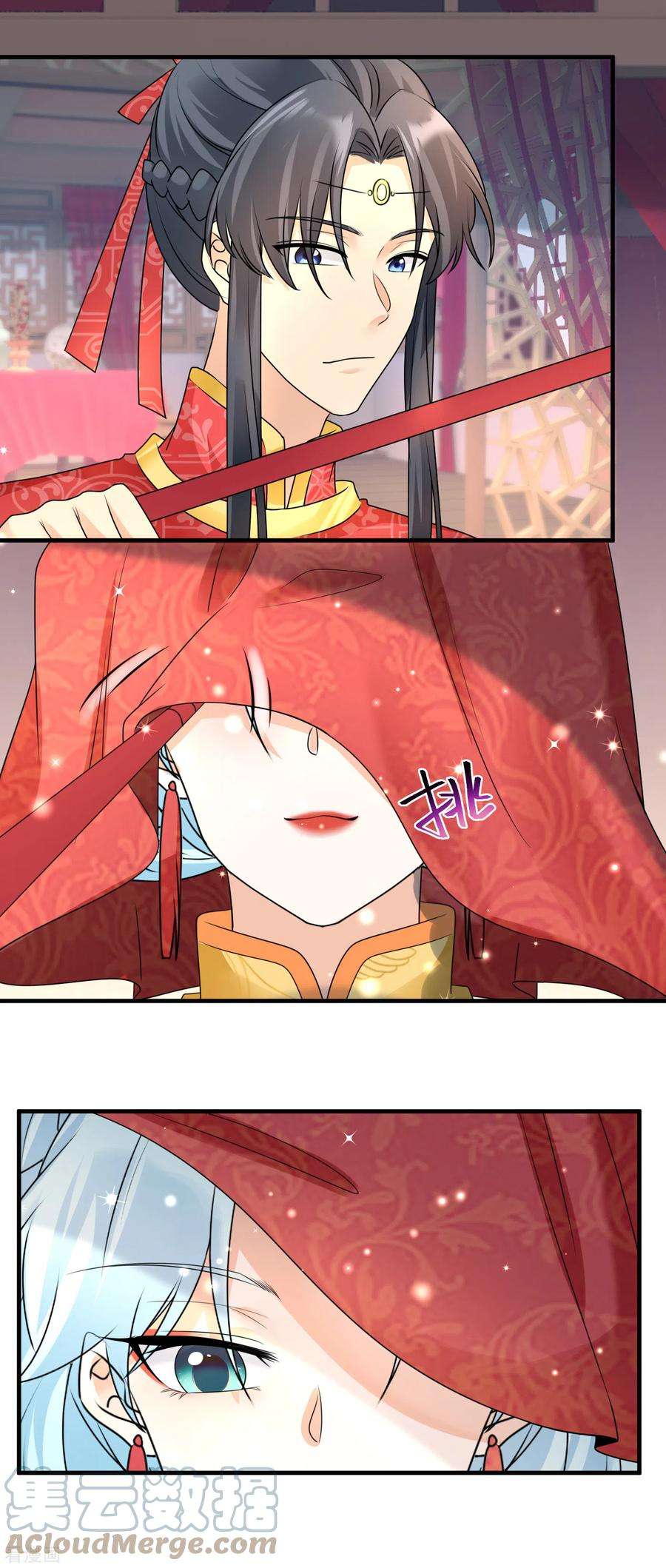 凤归巢：冷王盛宠法医妃101话 新婚之夜