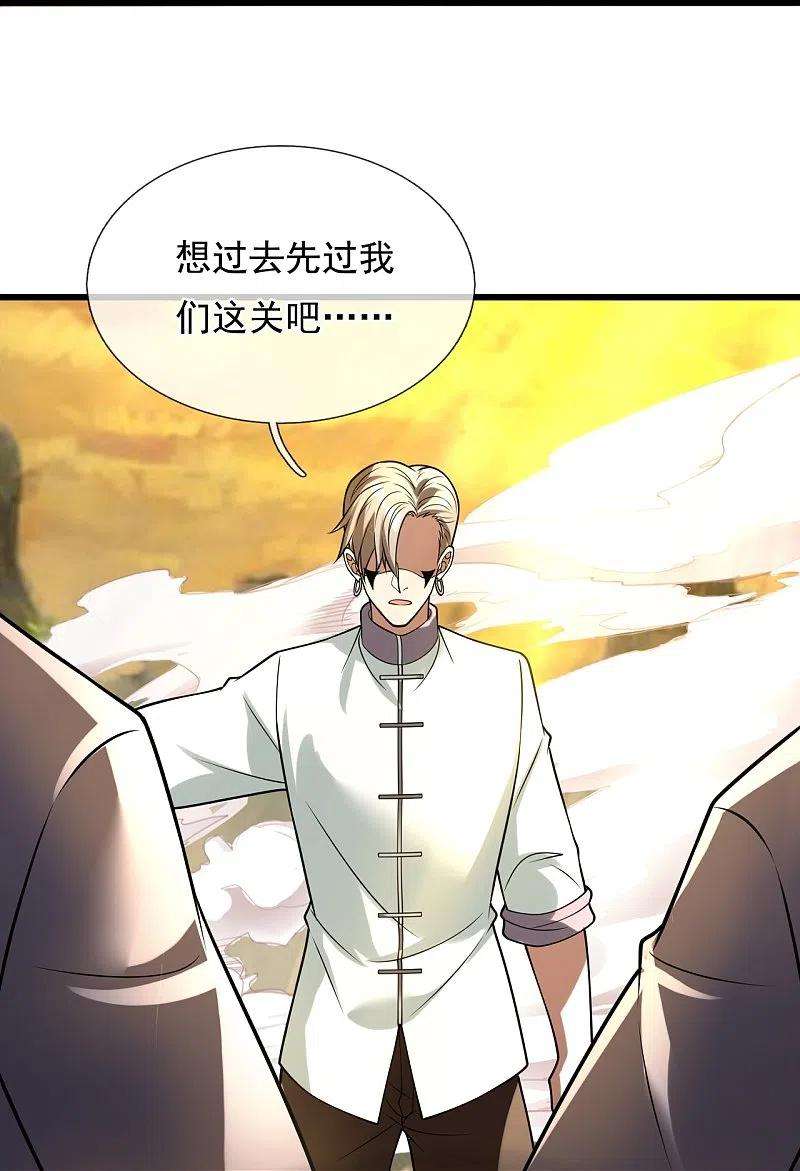 都市之逆天仙尊223话 华夏的反击