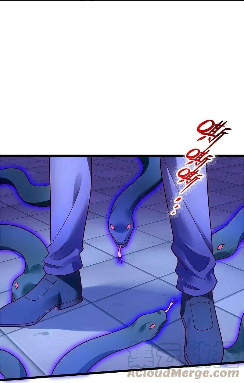 都市之逆天仙尊276话 雕虫小技