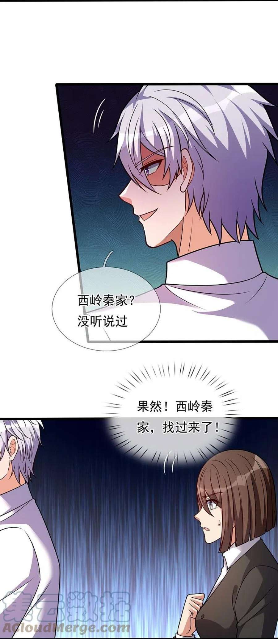 都市之逆天仙尊296话 西岭秦家