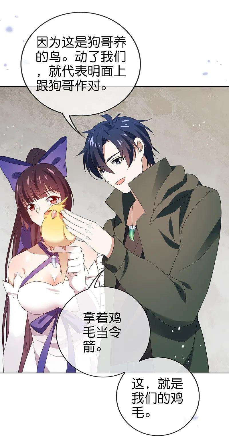 我的末世大小姐118话 小鸟令箭