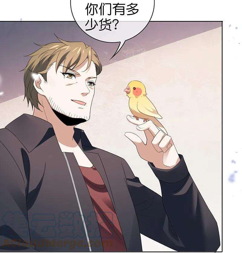 我的末世大小姐118话 小鸟令箭