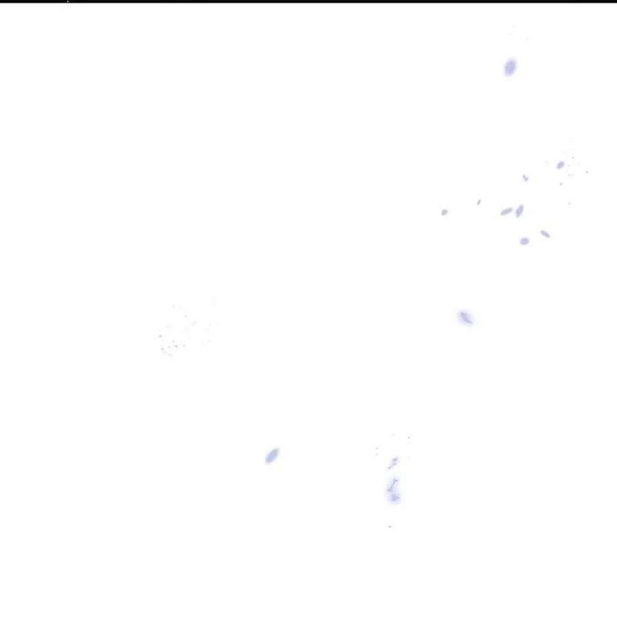 我的末世大小姐155话 这就是威力强大的巫阵？