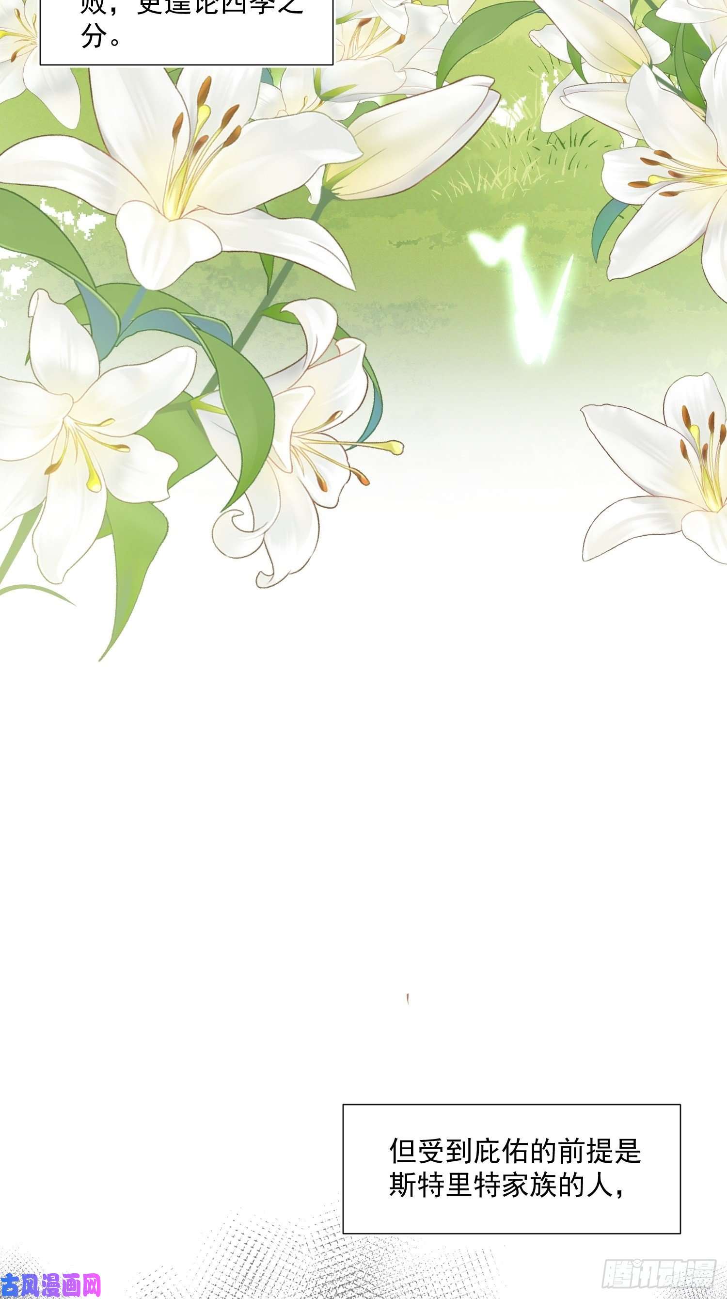 奇怪的情敌增加了第26话 金色的斯特里特