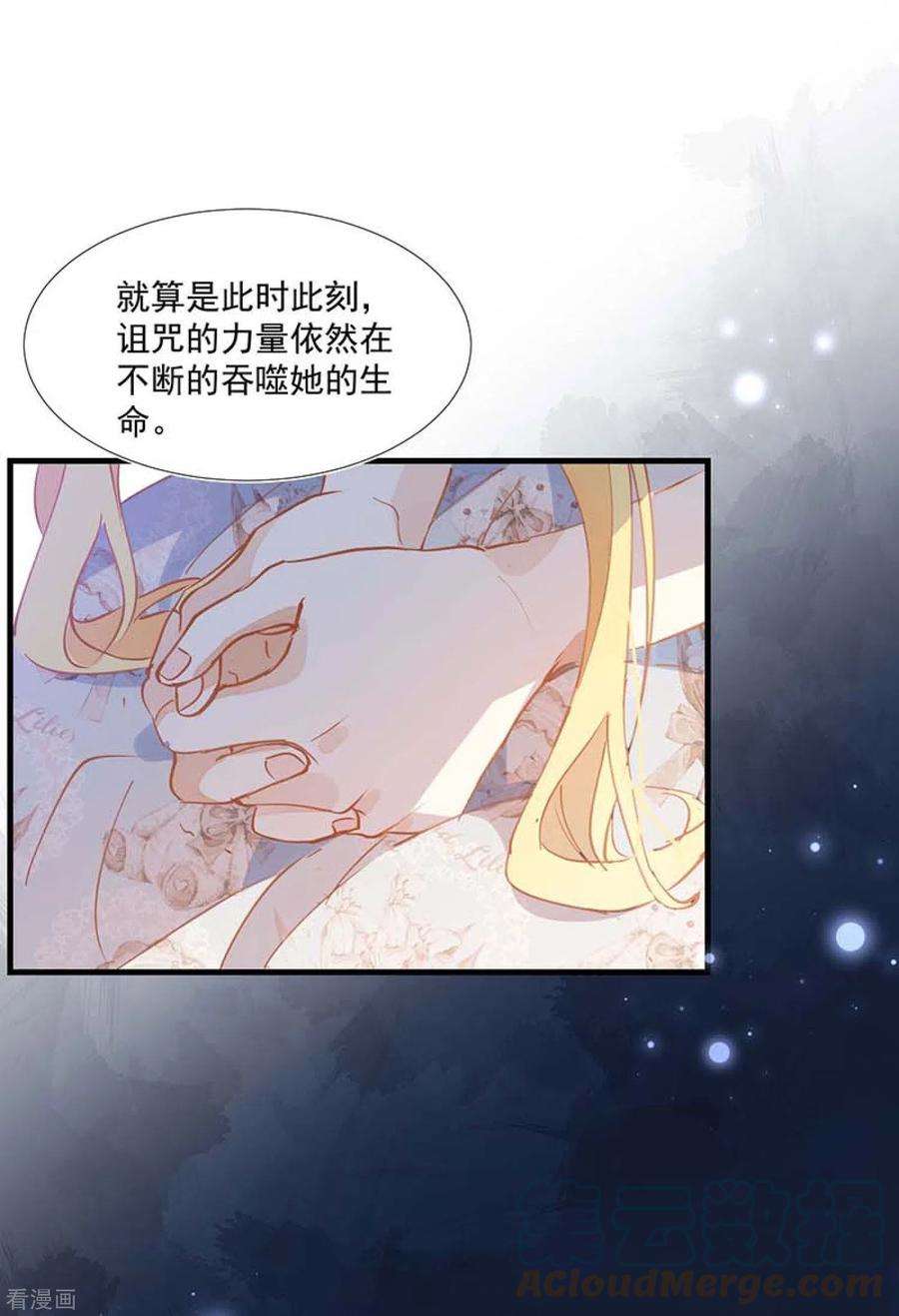 奇怪的情敌增加了26话 金色的斯特里特
