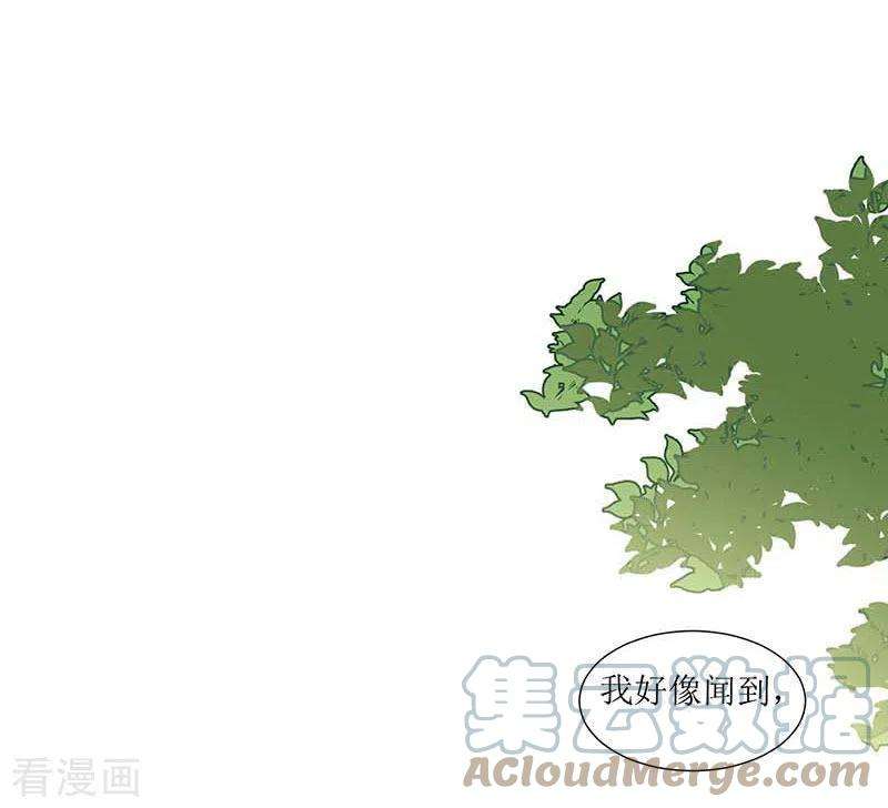 奇怪的情敌增加了32话 静观其变