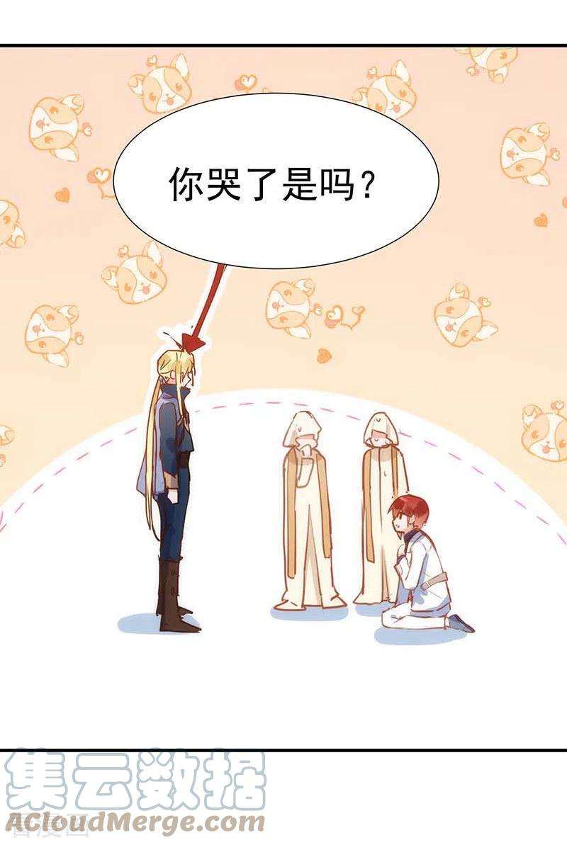 奇怪的情敌增加了48话 你哭了吗