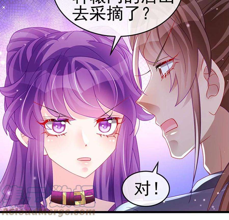 军火女凰133话 新情敌？救我的臭宝