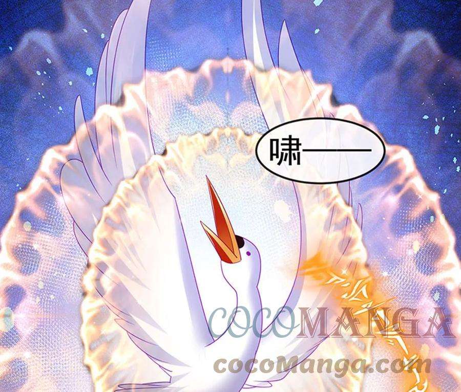 军火女凰142话最强后援团，我要复仇