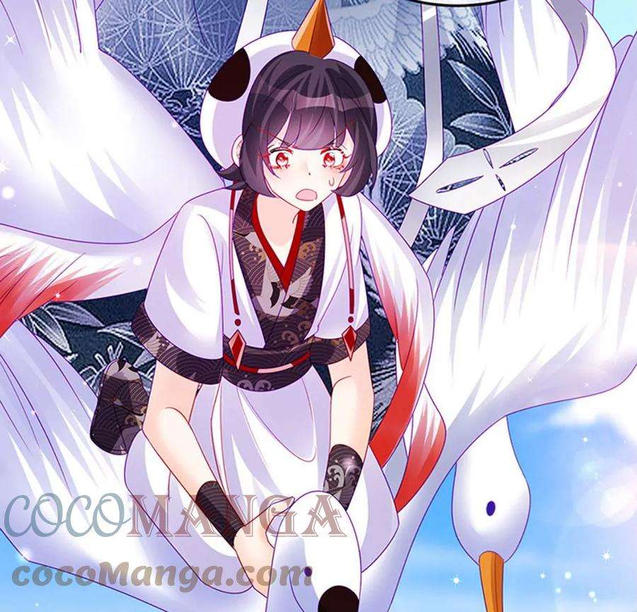 军火女凰142话最强后援团，我要复仇