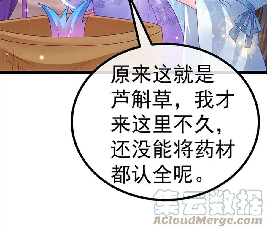 军火女凰146话 臭宝心里有我