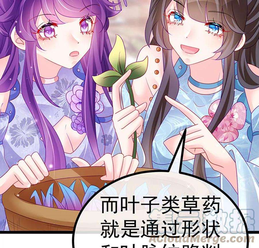 军火女凰146话 臭宝心里有我