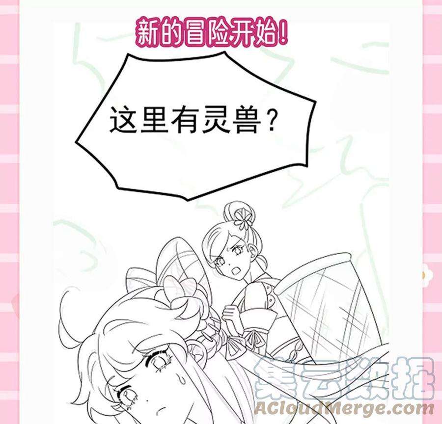 军火女凰149话 登基女凰男宠狂欢