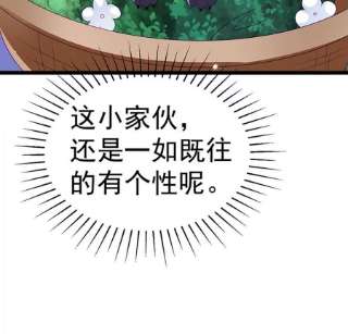 军火女凰150话 新宠青狈，围攻