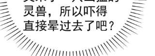 军火女凰150话 新宠青狈，围攻