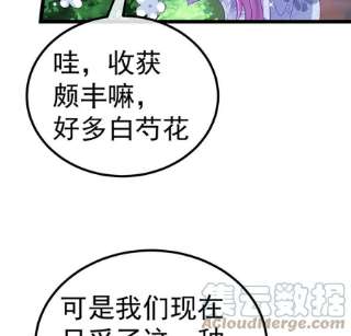 军火女凰150话 新宠青狈，围攻