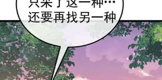 军火女凰150话 新宠青狈，围攻