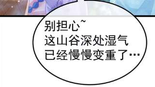 军火女凰150话 新宠青狈，围攻