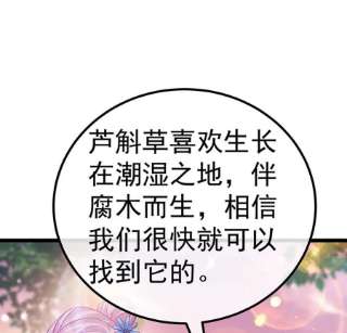 军火女凰150话 新宠青狈，围攻