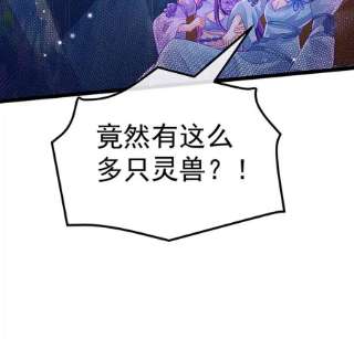 军火女凰150话 新宠青狈，围攻