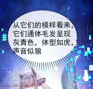 军火女凰150话 新宠青狈，围攻