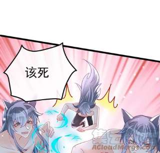 军火女凰150话 新宠青狈，围攻