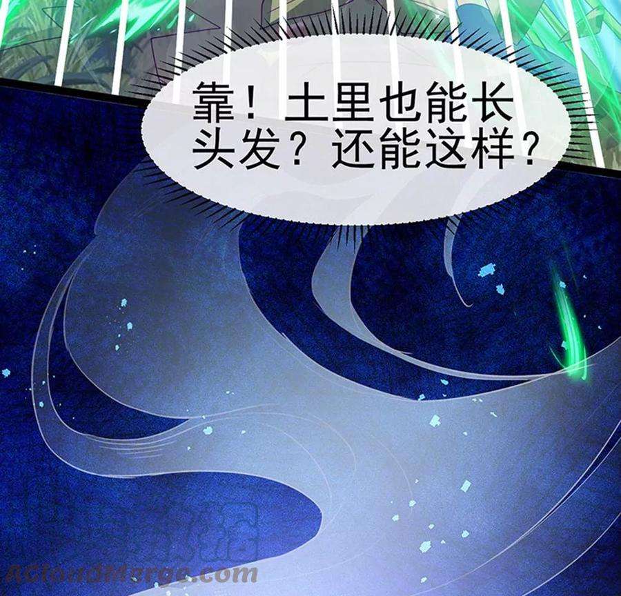 军火女凰173话 师兄们吃醋啦