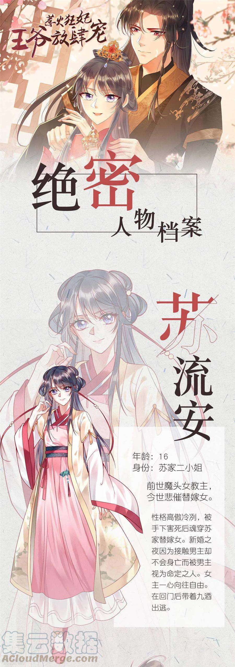 惹火狂妃：王爷放肆宠绝密人物档案