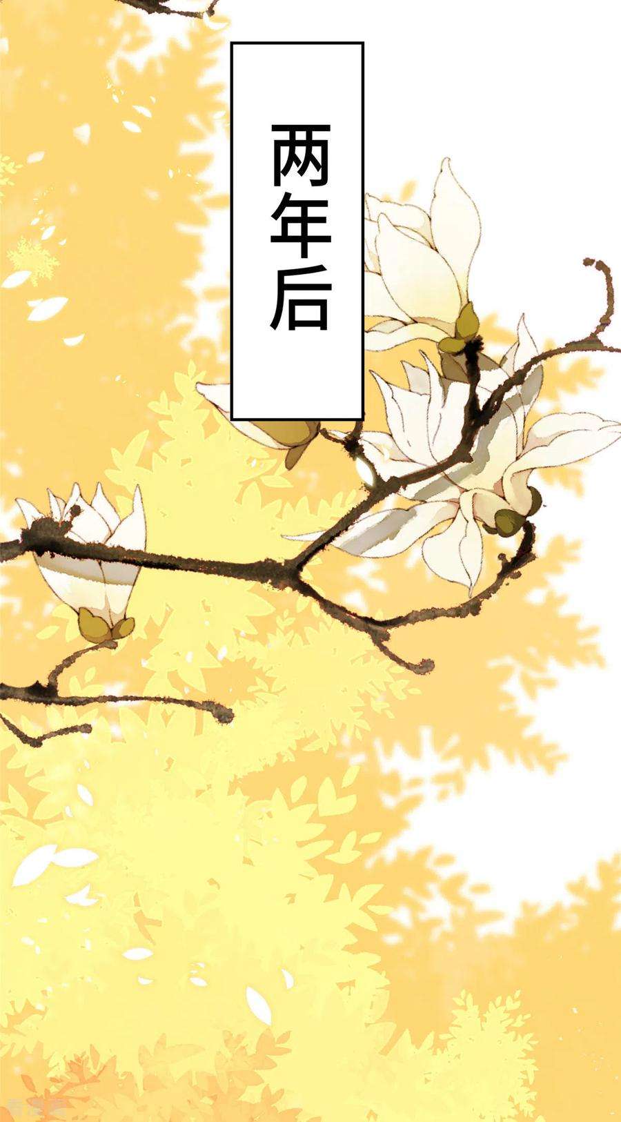 惹火狂妃：王爷放肆宠27话 两年后：天赎客栈