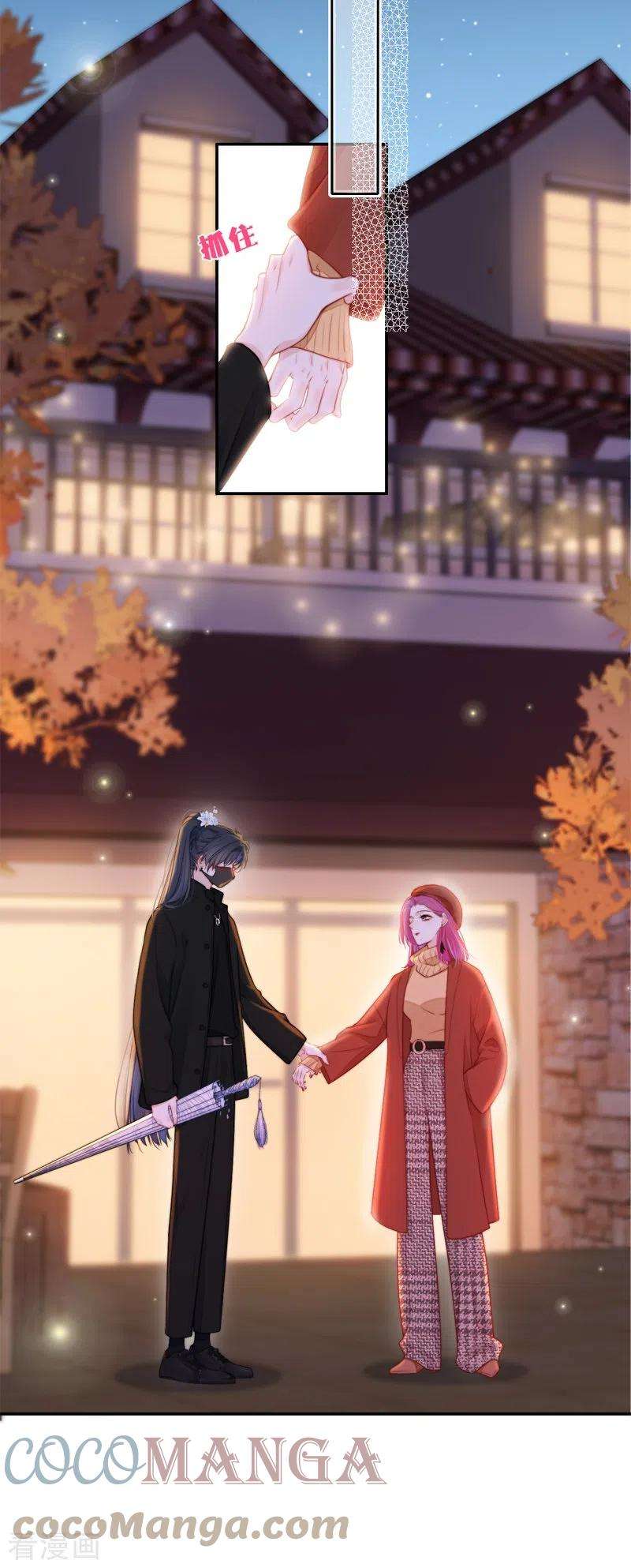 金屋藏骄37话 小狼狗（上）