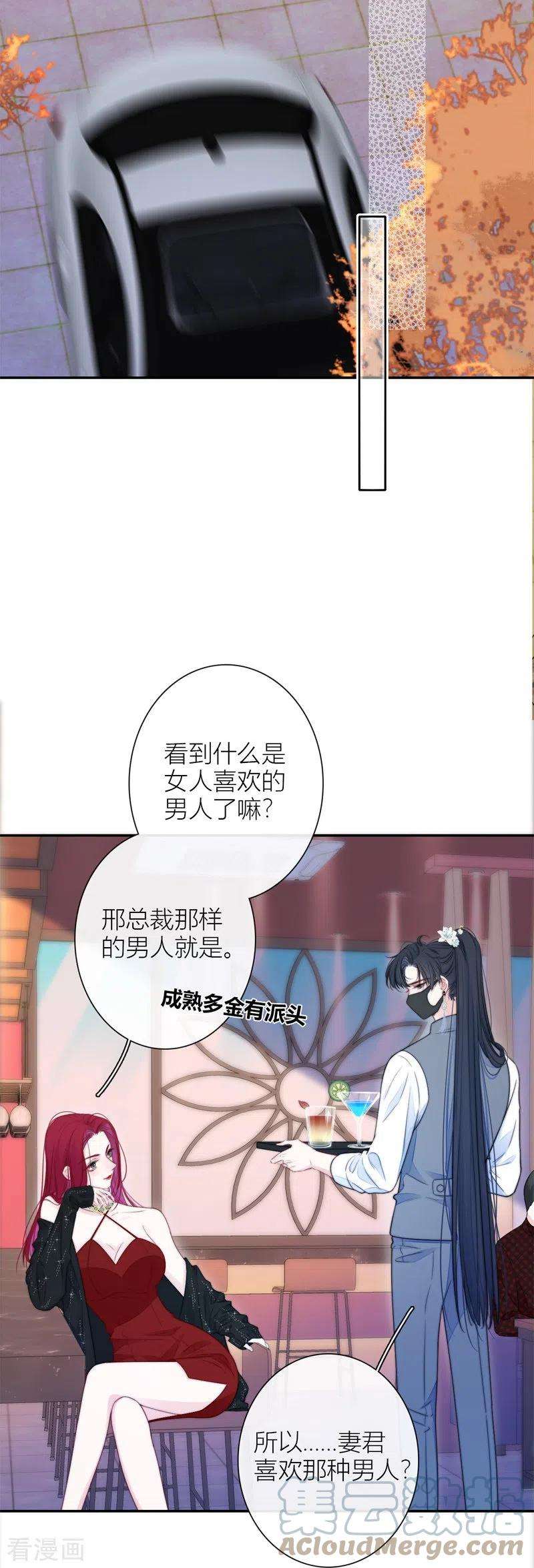 金屋藏骄40话 小夫君VS大总裁（下）