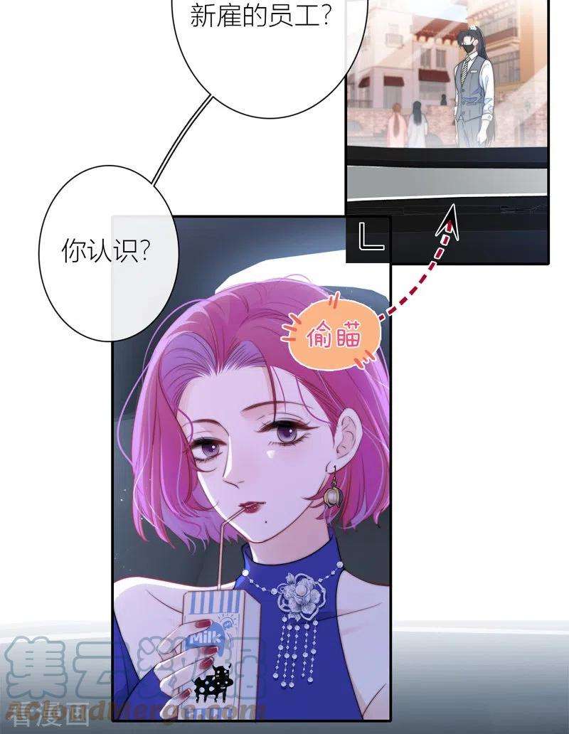 金屋藏骄40话 小夫君VS大总裁（下）