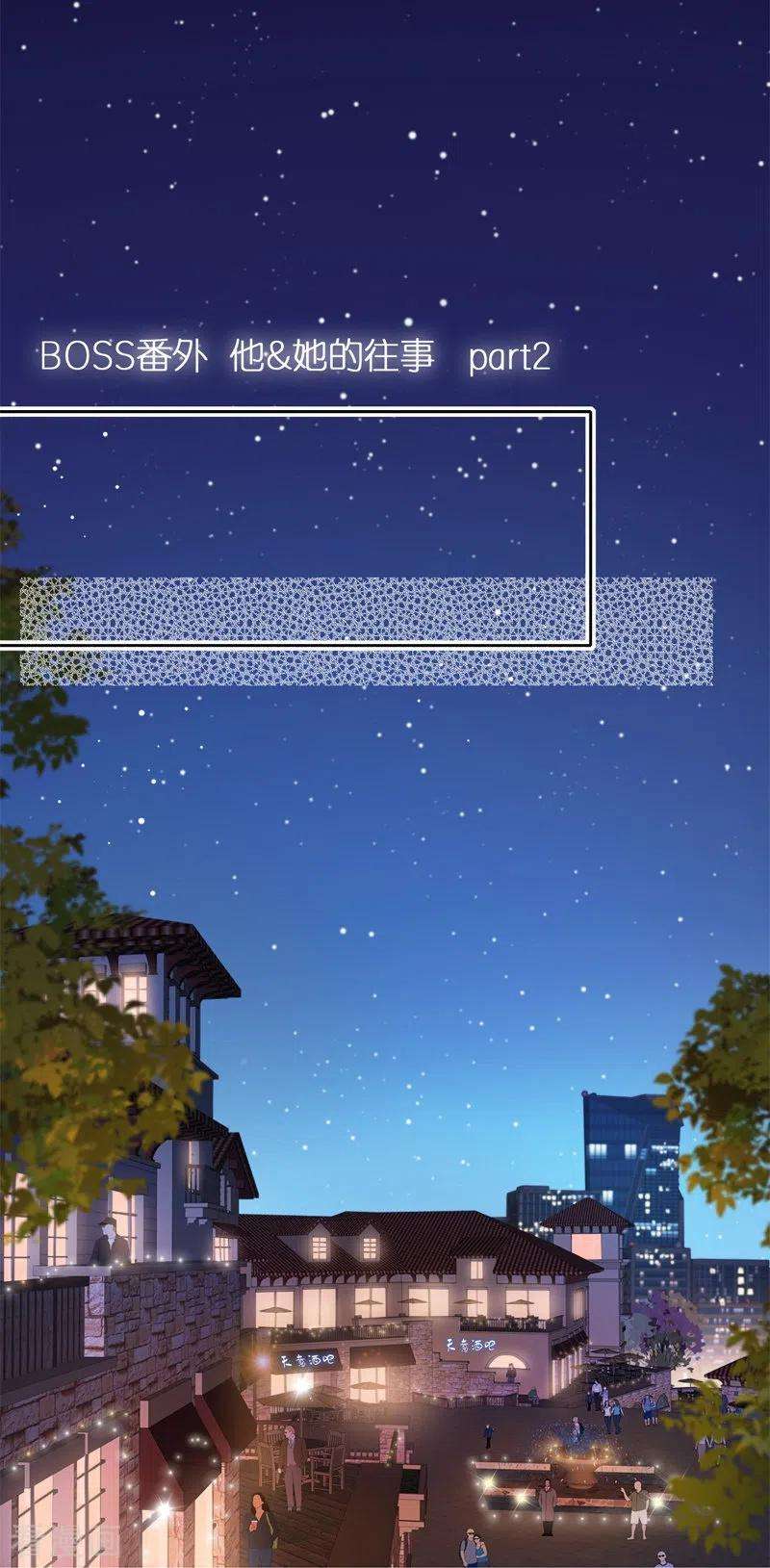 金屋藏骄BOSS番外2 他和她的往事