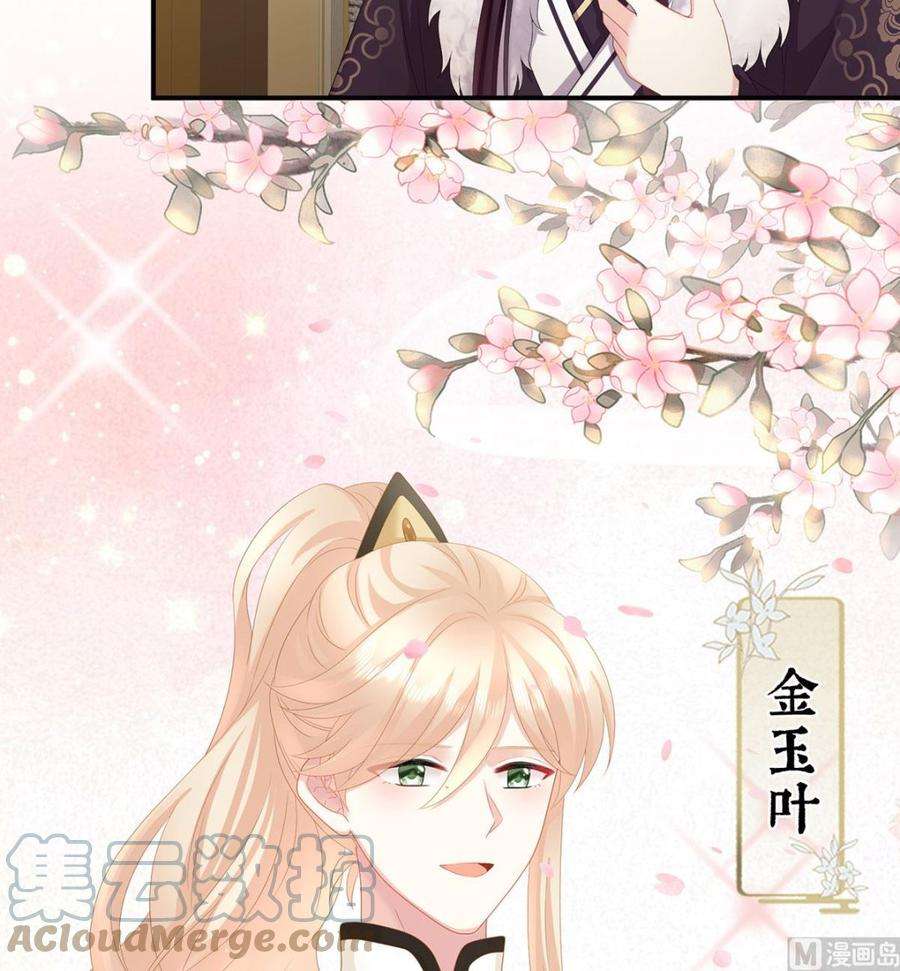 娇夫有喜29话 生几个都可以！