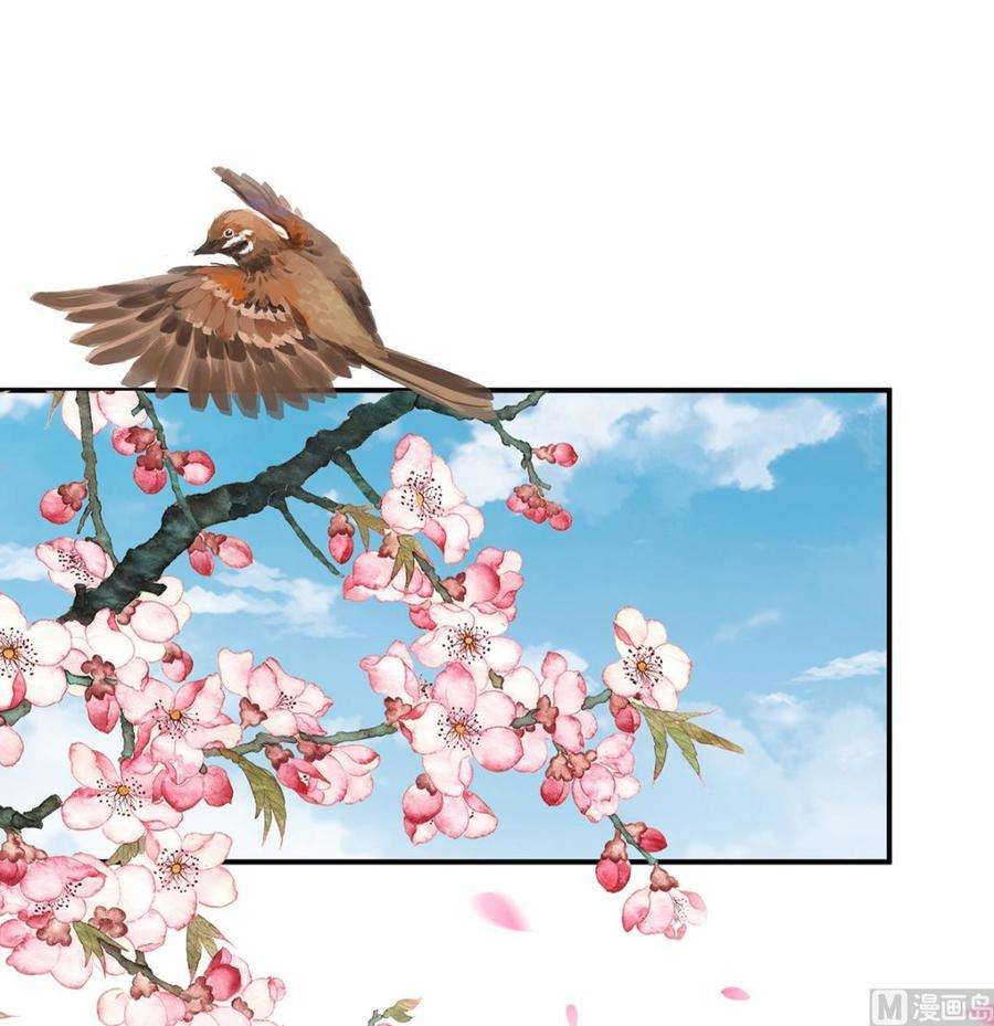 娇夫有喜57话 番外：诺诺的后宫