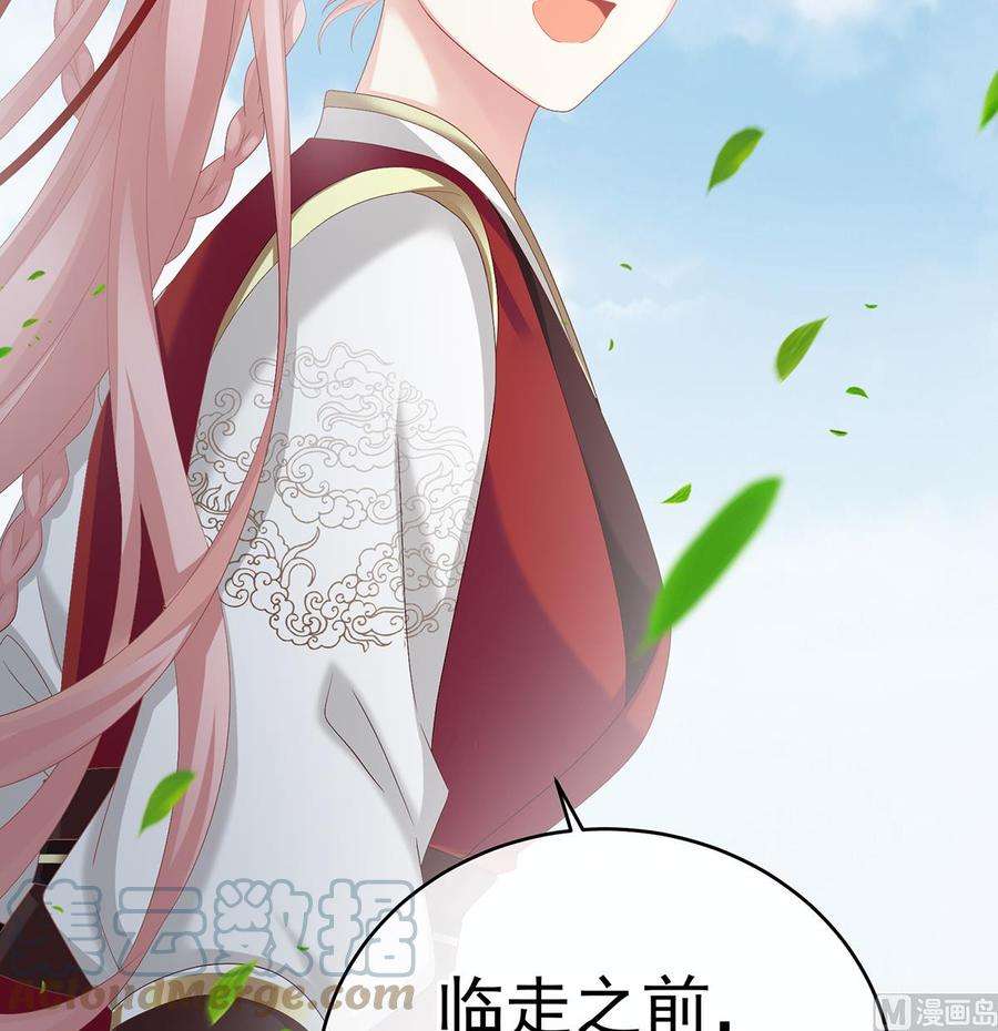 娇夫有喜57话 番外：诺诺的后宫