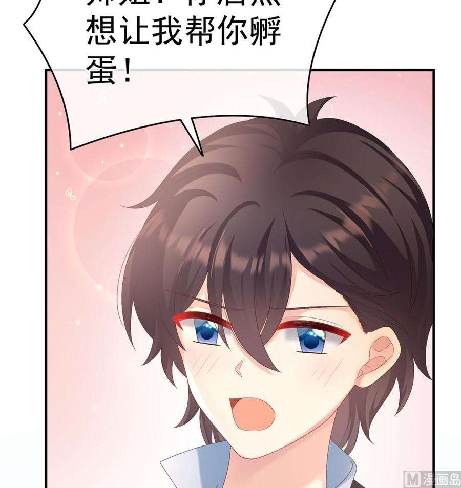 娇夫有喜60话 总得有人孵蛋