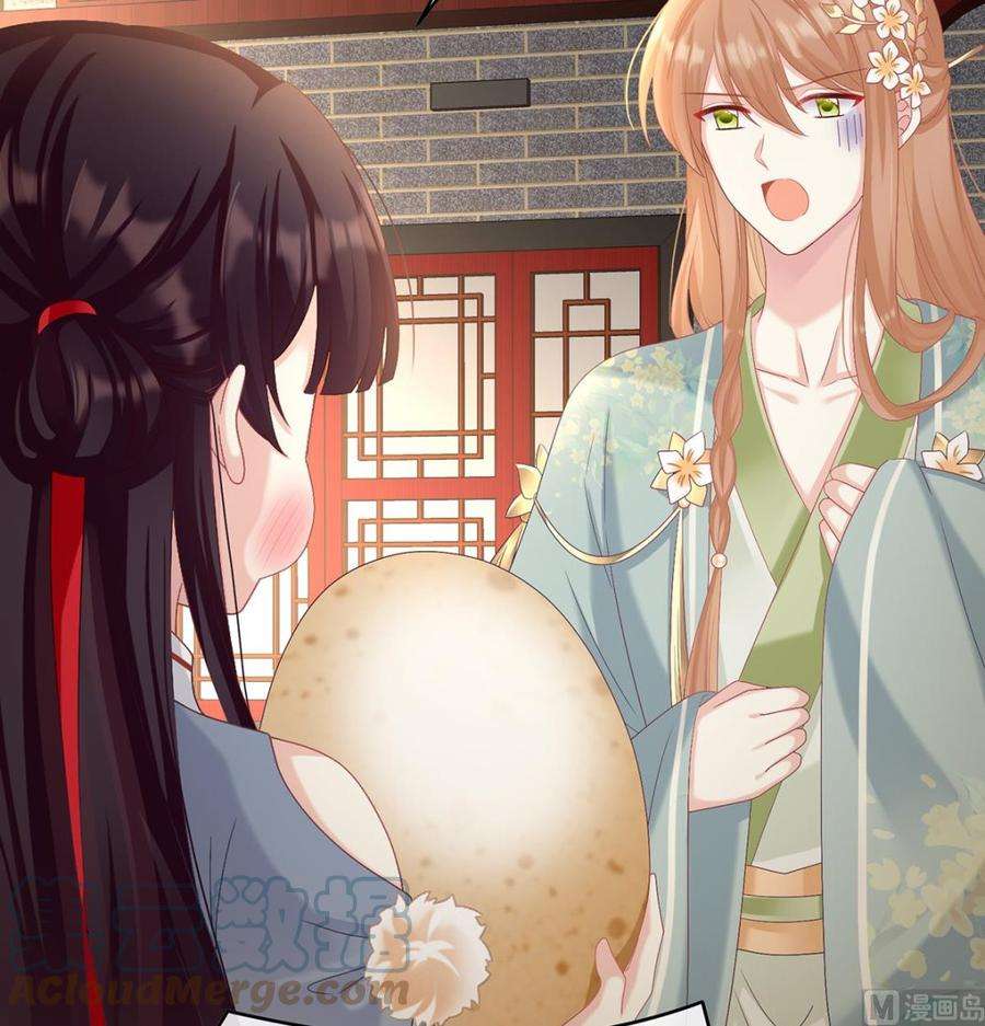 娇夫有喜60话 总得有人孵蛋