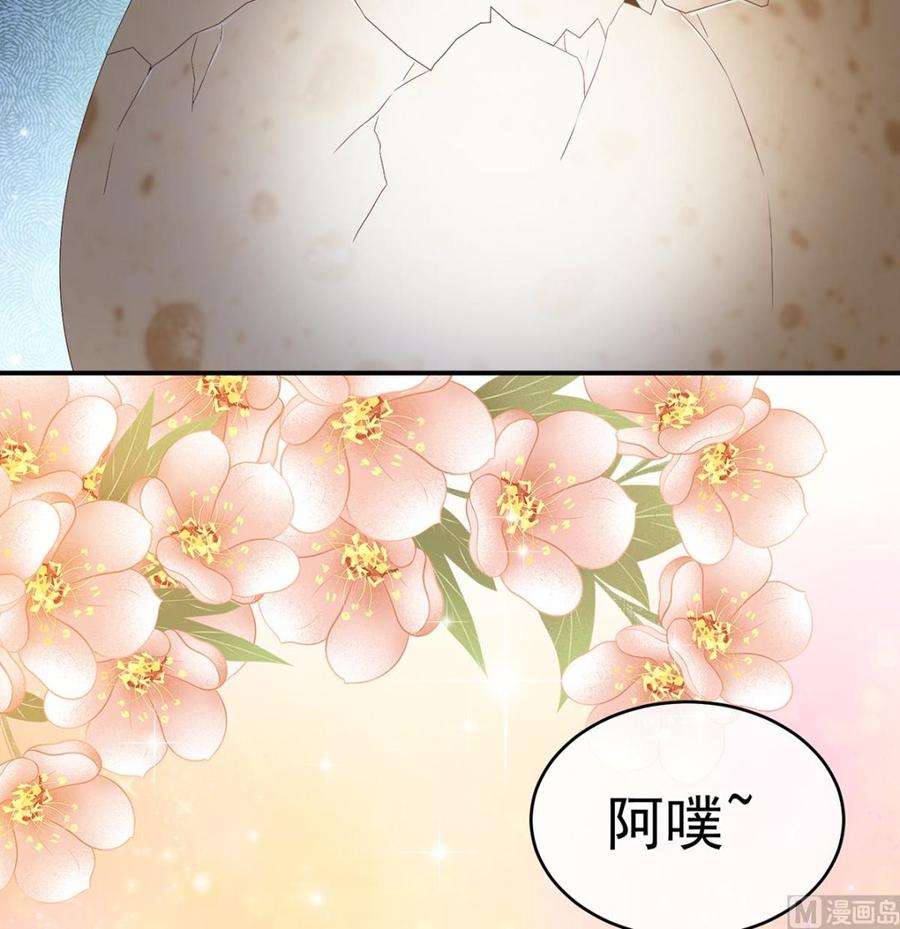 娇夫有喜62话 孩子孵出来了！