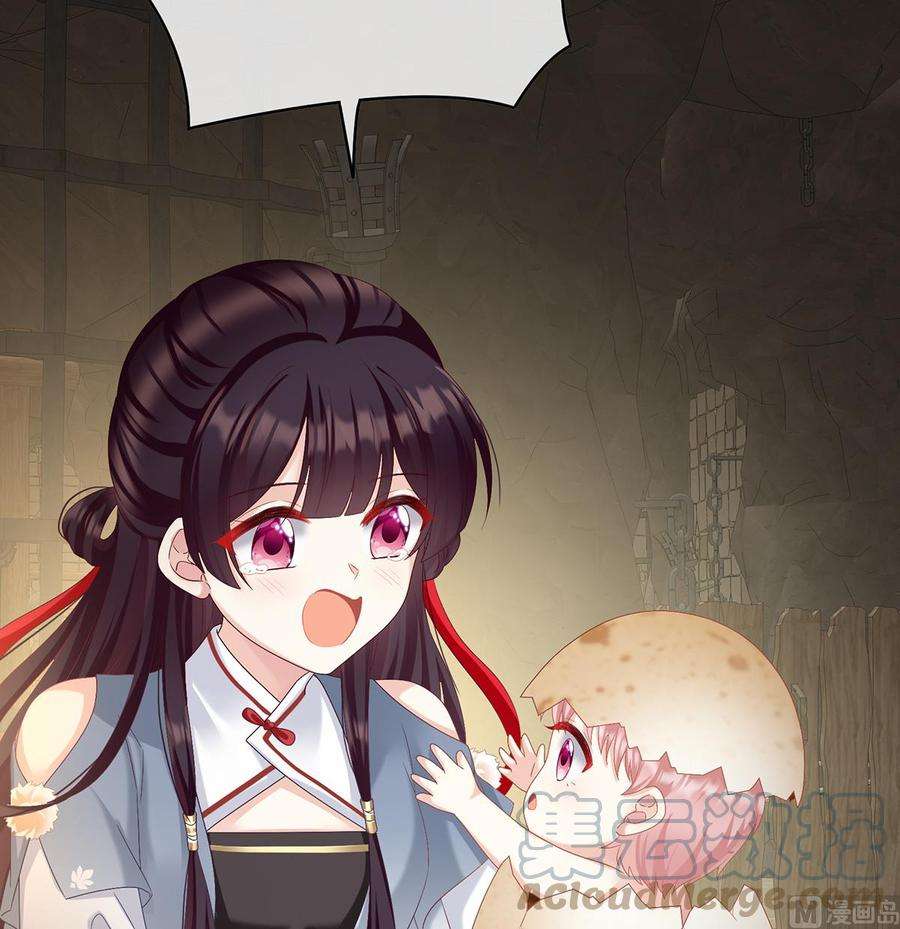 娇夫有喜62话 孩子孵出来了！