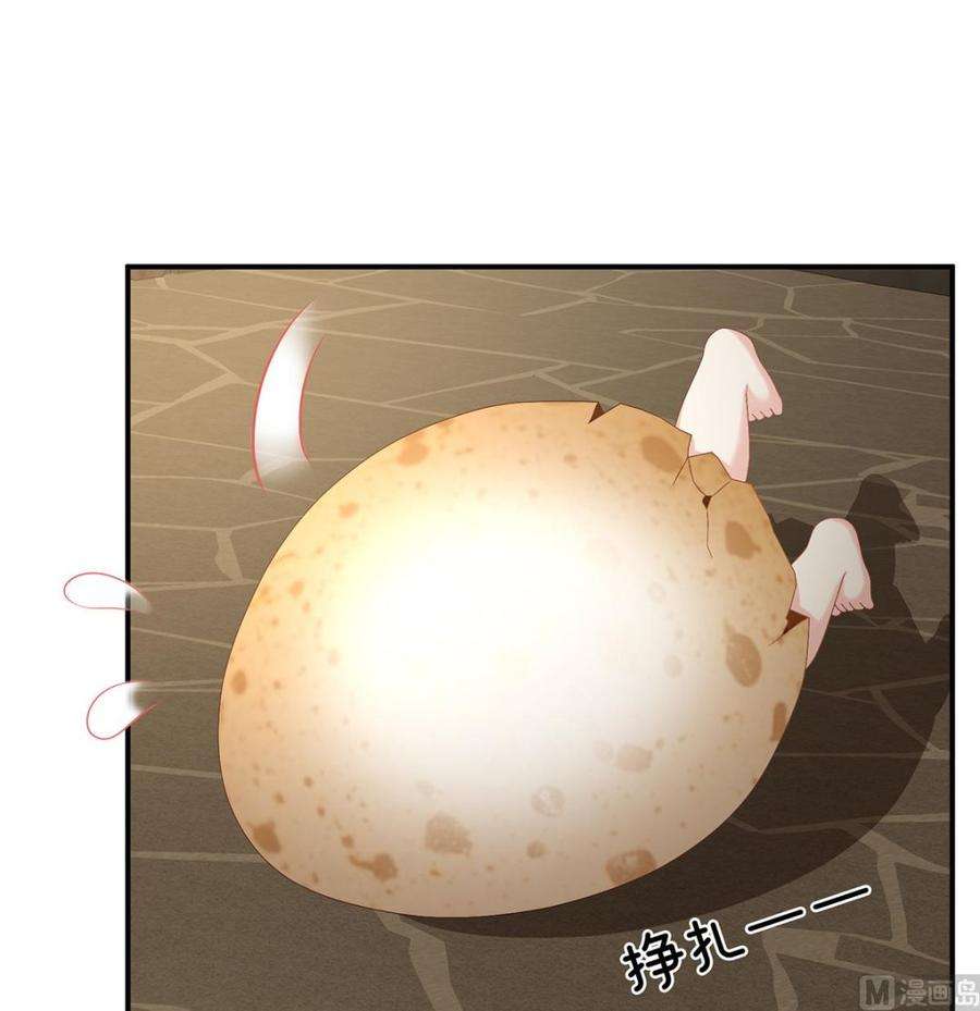 娇夫有喜62话 孩子孵出来了！