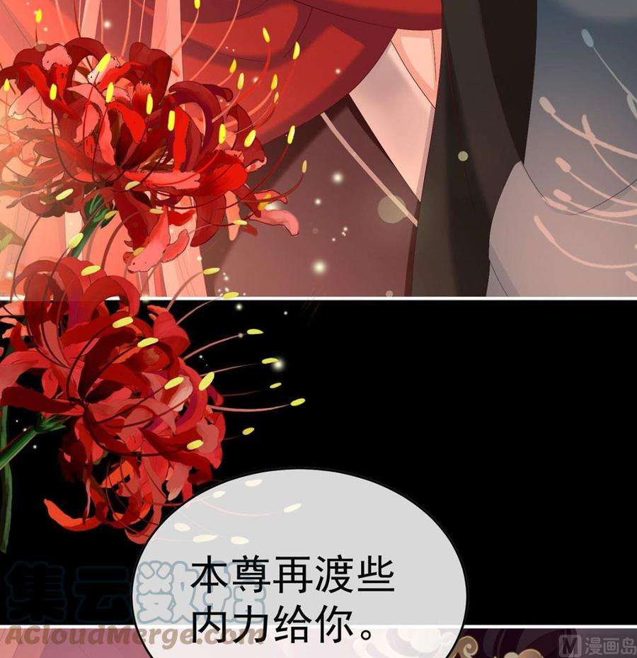 娇夫有喜97话 这是亲吻，尊上可知？