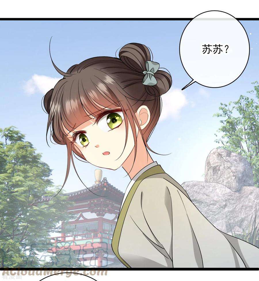 你一笑就甜倒我八颗牙104话 苏苏的决定