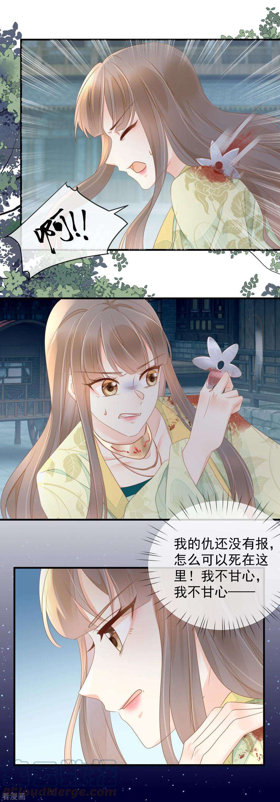 重生之千金毒妃15话 深夜遇袭