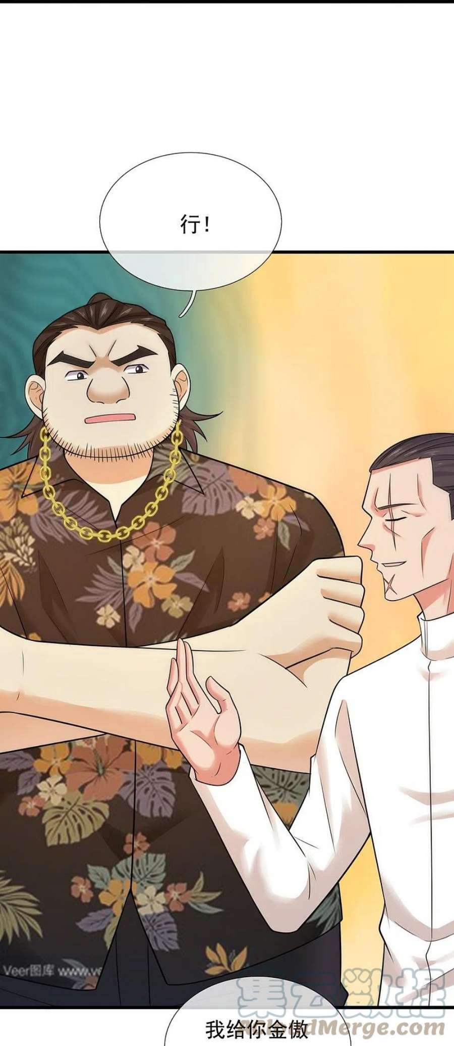 镇国主宰215话 五大家族