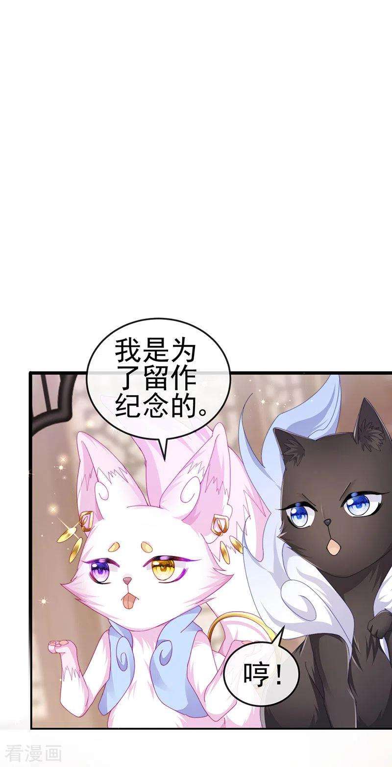 虐渣的一百种方式43话 缘系尊上
