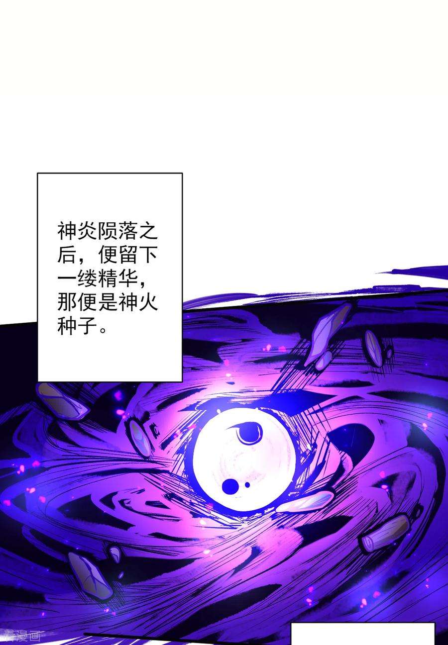 被美女师傅调教成圣的99种方法45话 神火种子