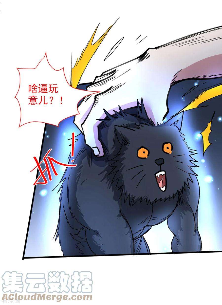 被美女师傅调教成圣的99种方法55话 超凡境野猫！？