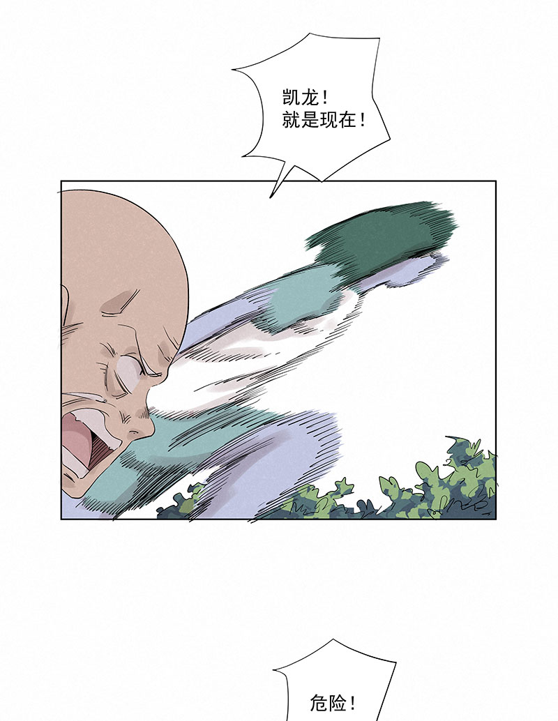 神之一脚第三百二十六波 求偶
